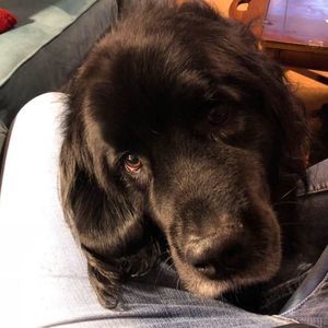 Meet your Posher, Tiffany